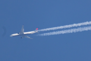 N187DN